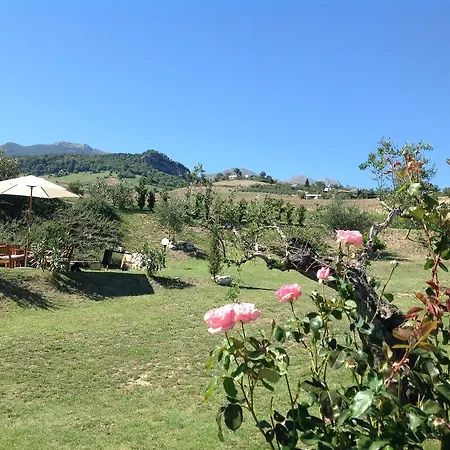Casa Carolina Santa Maria
